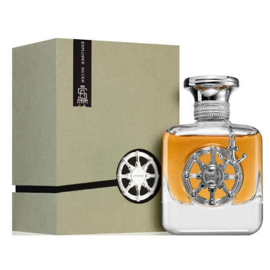 Aurora, Explorer Silver, Apă de parfum, Pentru bărbați, 100 ml