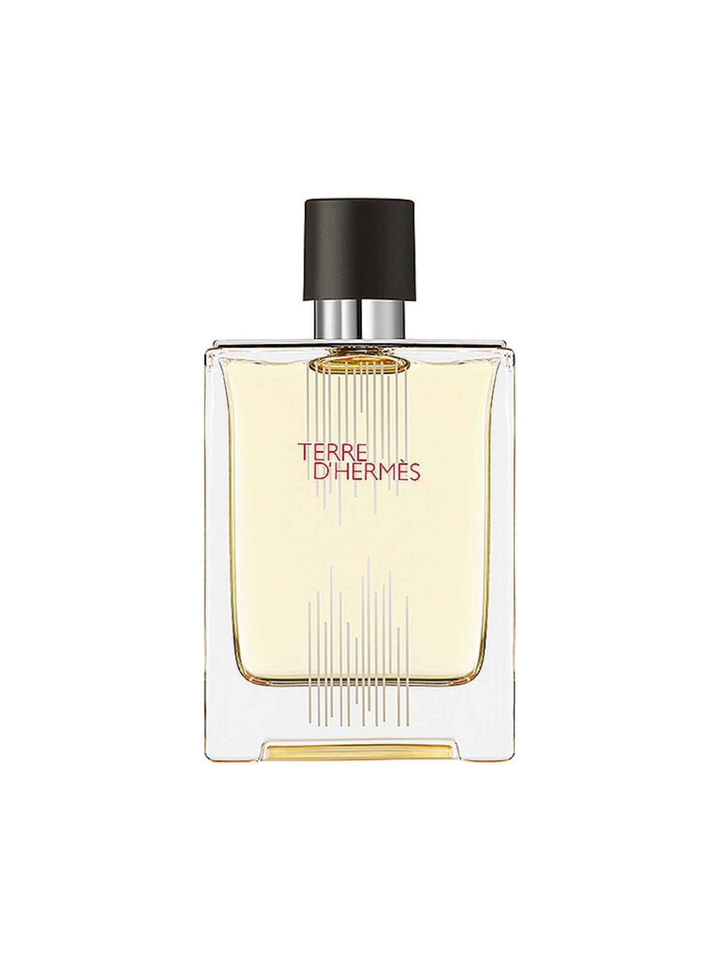 Hermes, Terre d'Hermes Flacon H Limited Edition, Apa de toaleta, Barbati, 100 ml