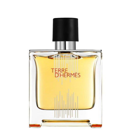 Hermes, Terre d'Hermes Flacon H 2021, Parfum, Barbati, 75 ml