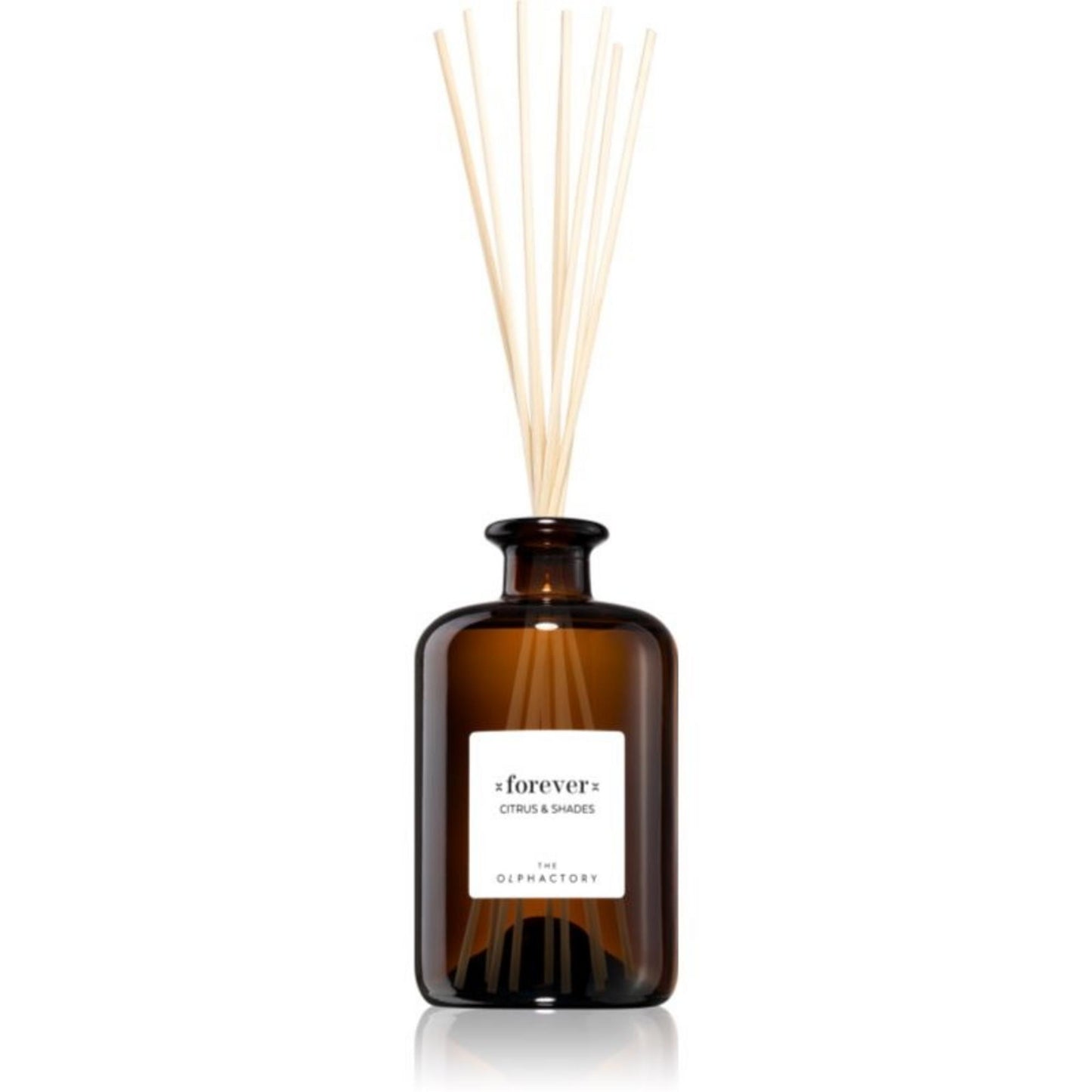The Olphactory, Forever Citrus & Shades, Fragrance Sticks, Grapefruit, Aroma Reed Diffuser, 500 ml