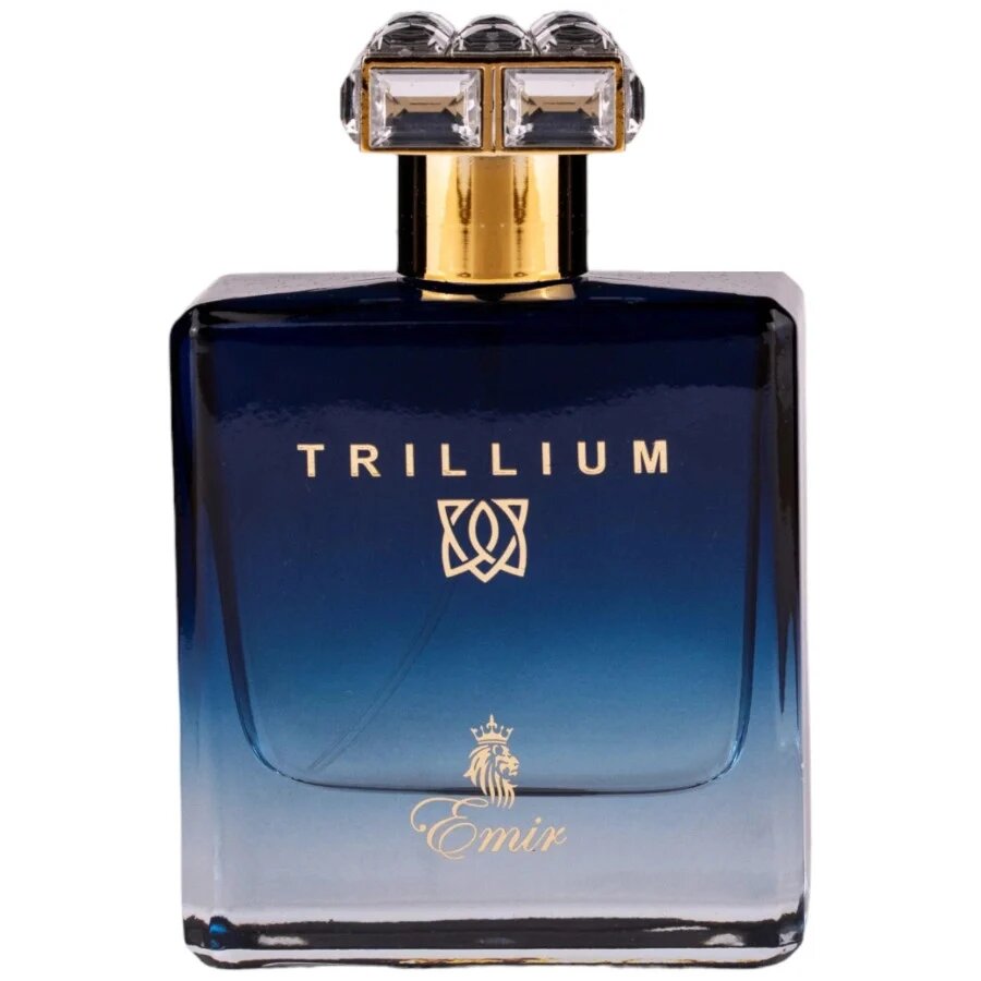 Emir, Trillium, Apa de parfum, Barbati, 100 ml