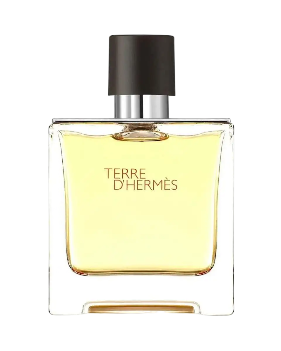 Hermes, Terre d'Hermes, Apă de parfum, Pentru bărbați, 75 ml *Tester