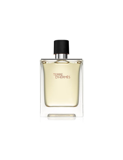 Hermes, Terre d'Hermes, Apă de toaletă, Pentru bărbați, 100 ml