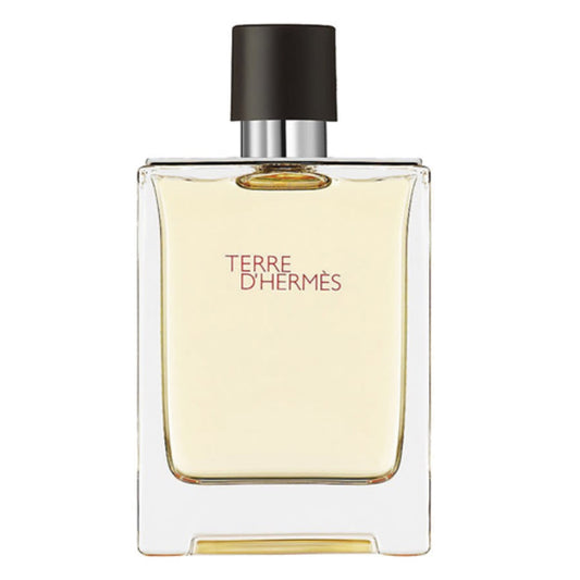 Hermes, Terre d'Hermes, Apa de toaleta, Barbati, 100 ml *Tester