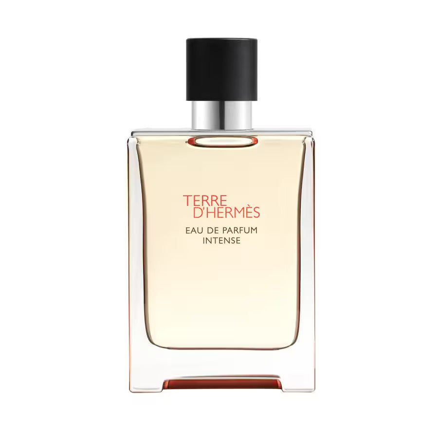 Hermes, Terre d'Hermes Intense, Apă de parfum, Pentru bărbați, Reincărcabilă, 100 ml