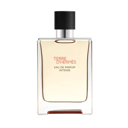 Hermes, Terre d'Hermes Intense, Apă de parfum, Pentru bărbați, Reincărcabilă, 100 ml