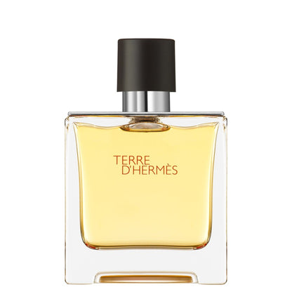 Hermes, Terre d'Hermes, Parfum, Pentru bărbați, 75 ml