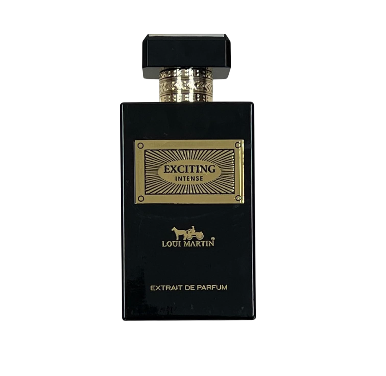Loui Martin, Exciting Intense, Extract de parfum, Unisex, 100 ml